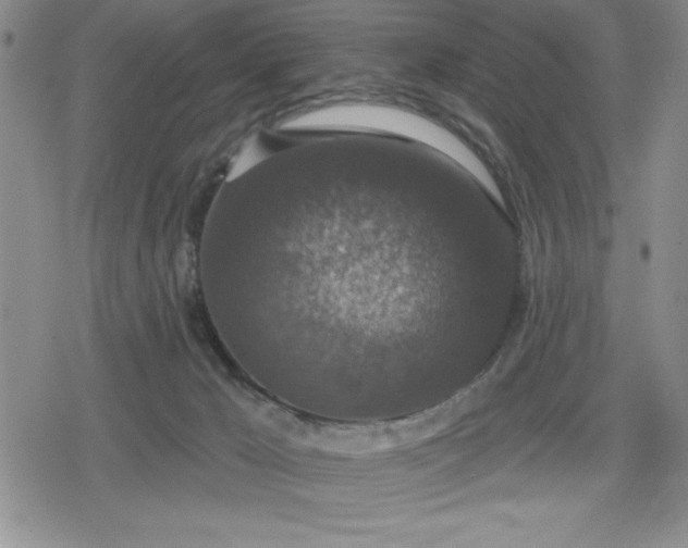 X0000080180029200612221327