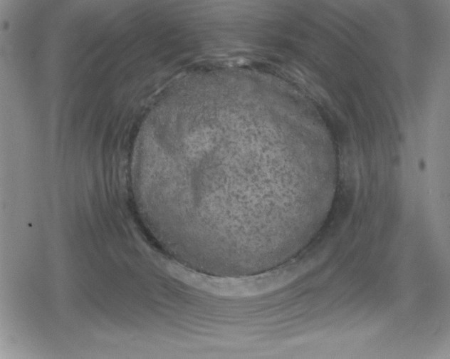 X0000080180030200612221327