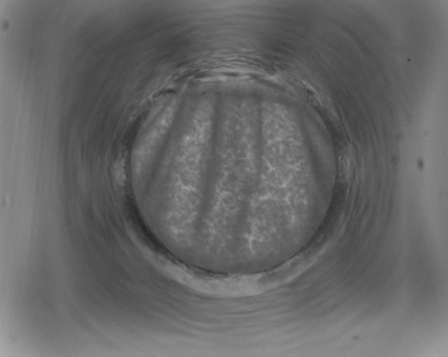 X0000080180032200612221327