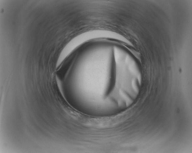 X0000080180033200612221327