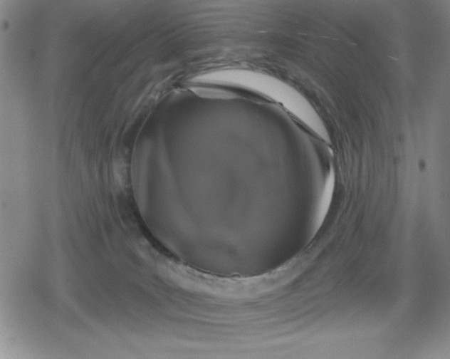 X0000080180035200612221327