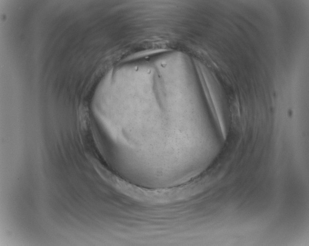 X0000080180038200612221327