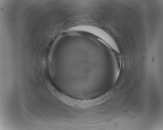 X0000080180039200612221327