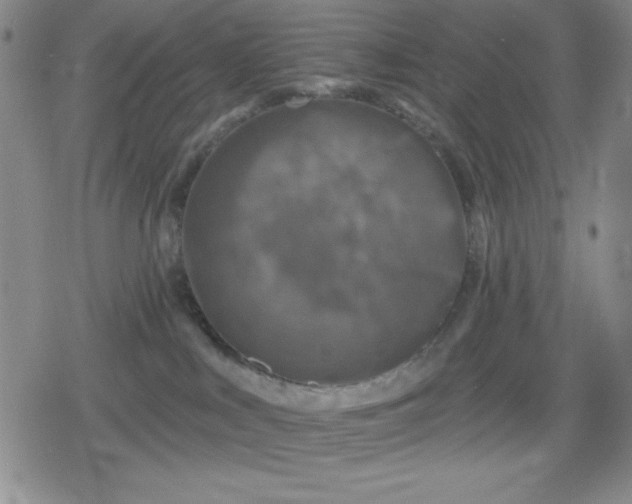 X0000080180043200612221327