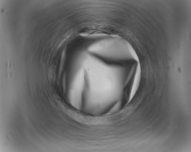 X0000080180044200612221327