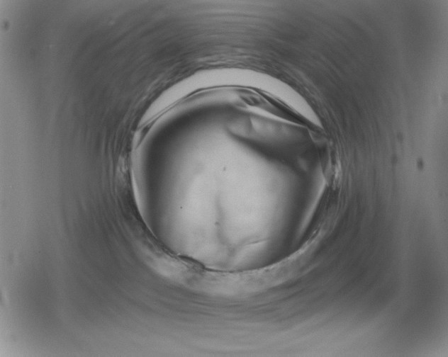 X0000080180045200612221327