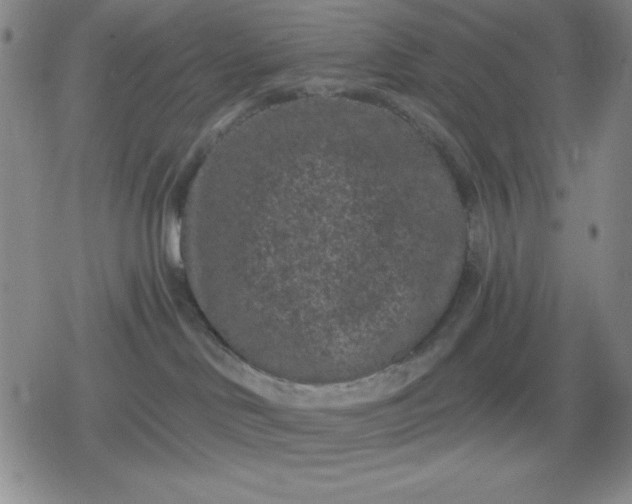 X0000080180046200612221327