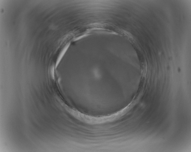 X0000080180047200612221327