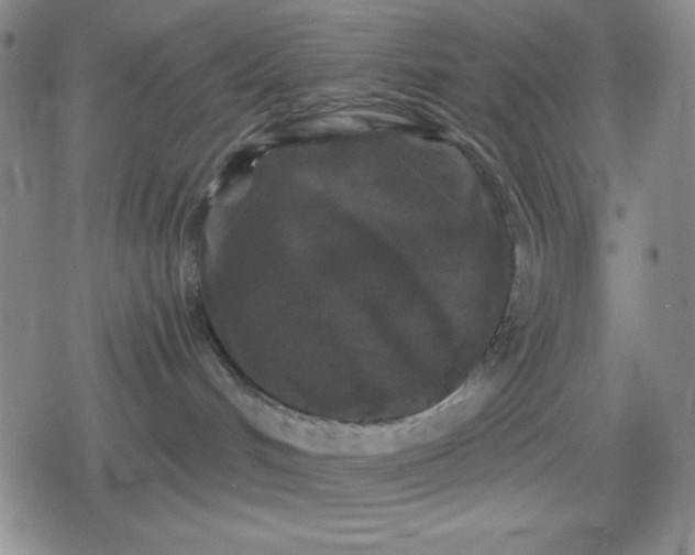 X0000080180048200612221327