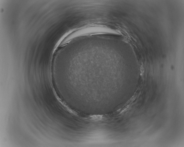 X0000080180052200612221326