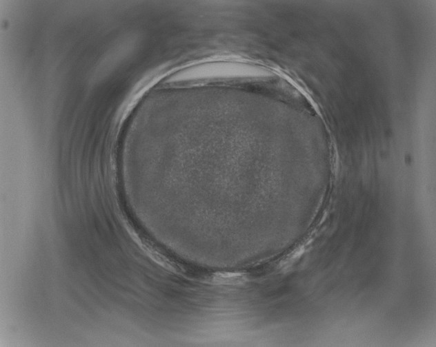 X0000080180055200612221326