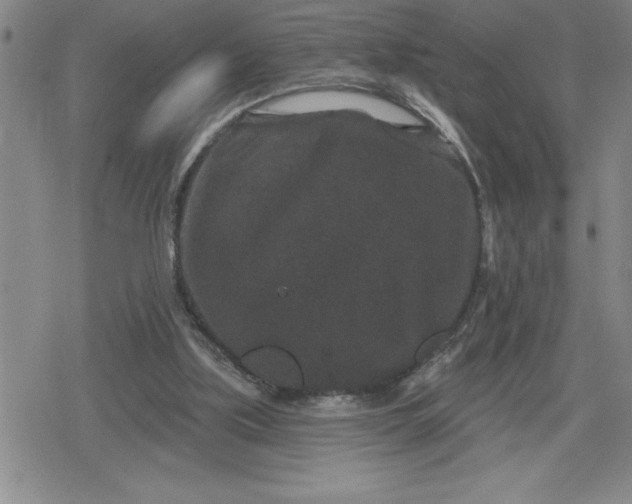 X0000080180059200612221326