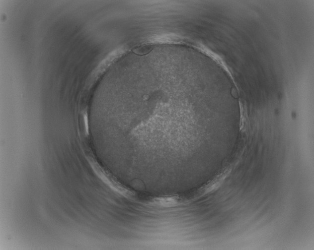 X0000080180061200612221326