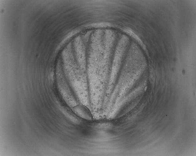 X0000080180063200612221326