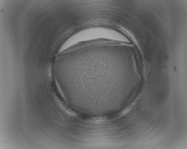 X0000080180065200612221326