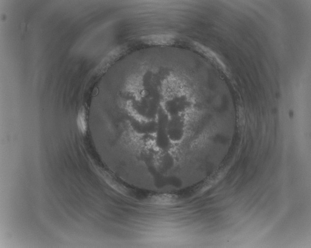 X0000080180069200612221326