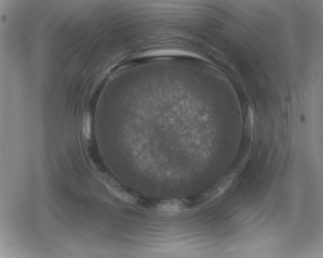 X0000080180076200612221326