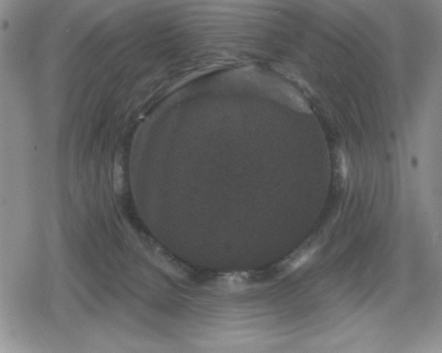 X0000080180080200612221326