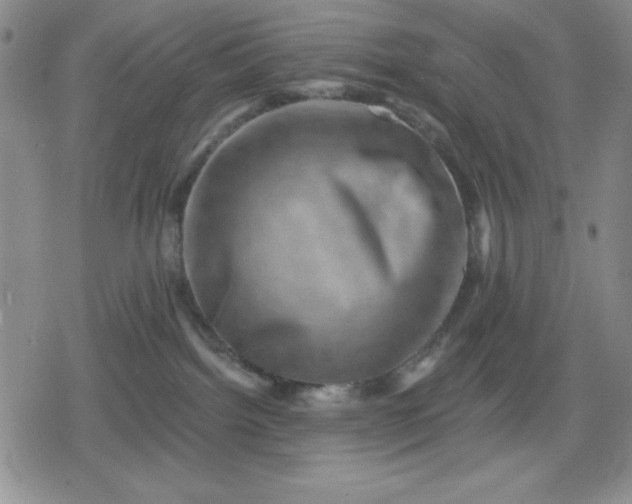 X0000080180092200612221326