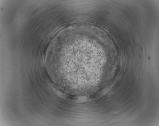 X0000080180093200612221326