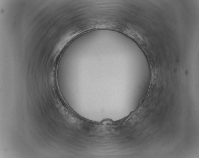 X0000080180098200612221326