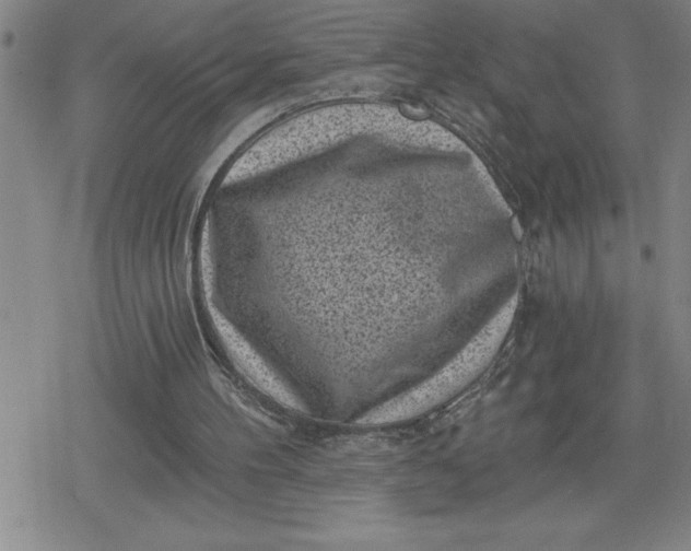 X0000080180100200612221326