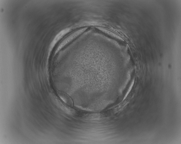 X0000080180104200612221326