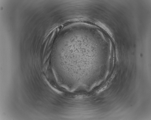 X0000080180105200612221326