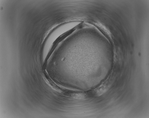 X0000080180107200612221326