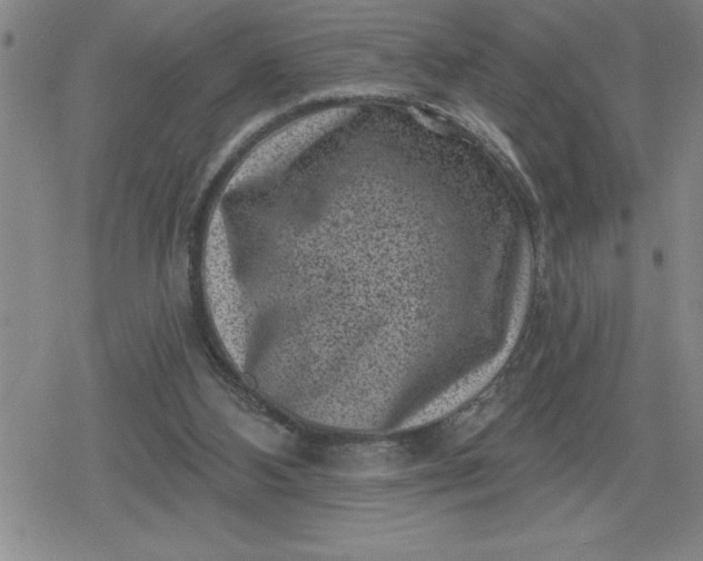 X0000080180108200612221326