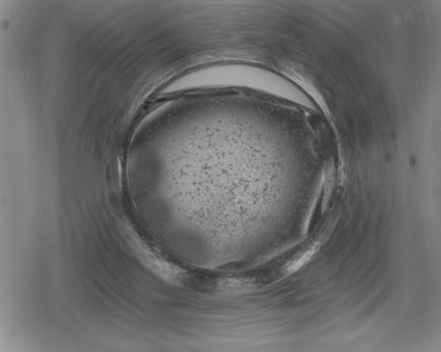 X0000080180109200612221326