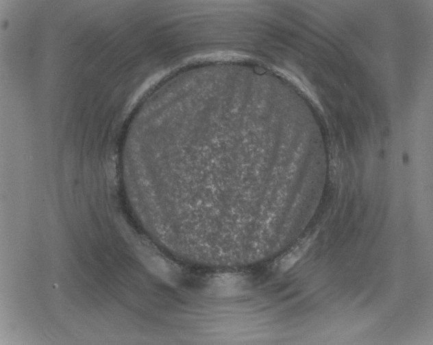 X0000080180111200612221325