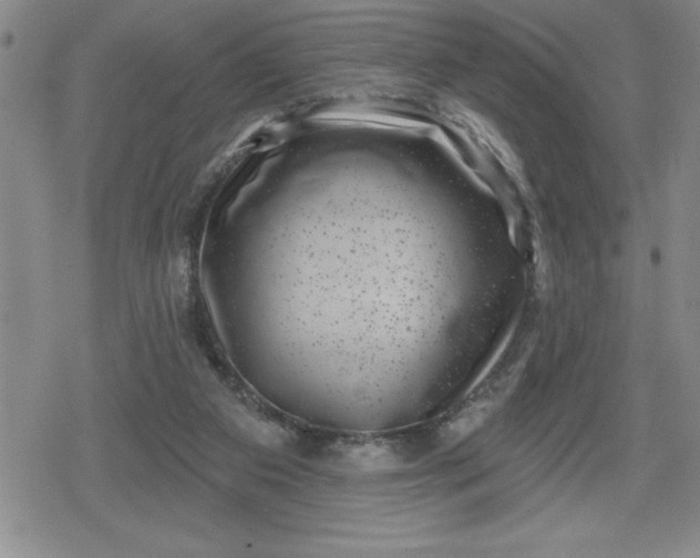 X0000080180113200612221325