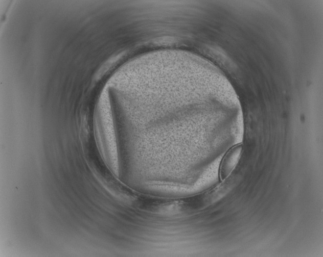 X0000080180116200612221325