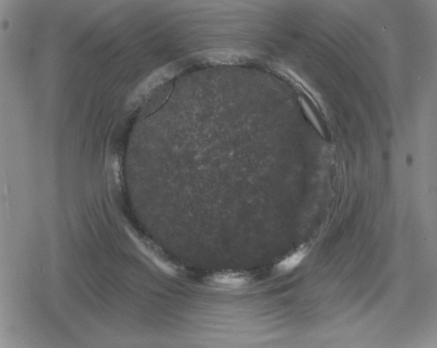 X0000080180117200612221325