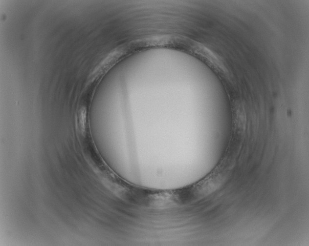 X0000080180118200612221325