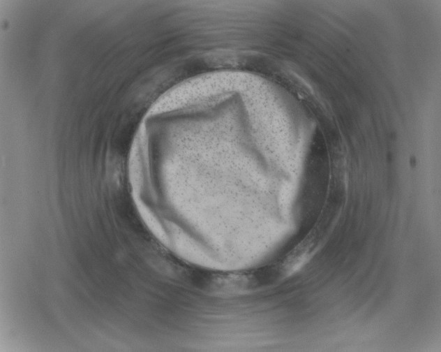 X0000080180125200612221325