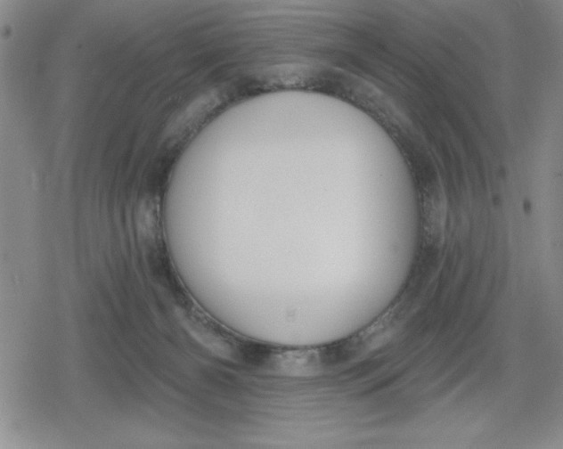 X0000080180126200612221325