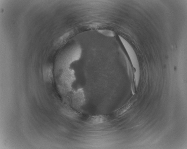 X0000080180127200612221325