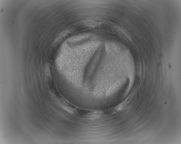 X0000080180128200612221325