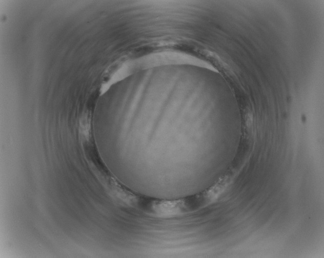 X0000080180129200612221325