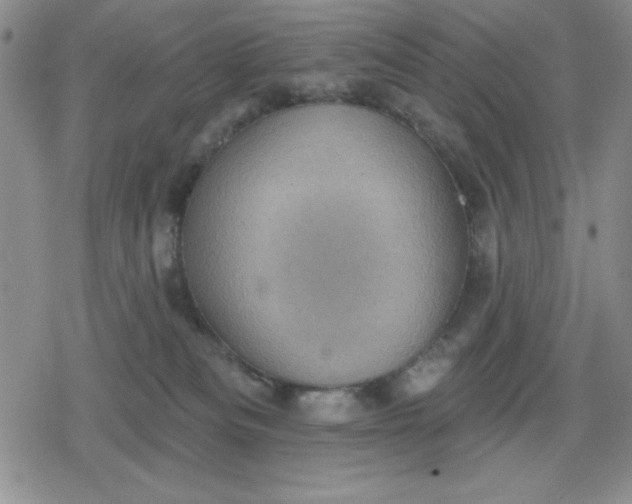 X0000080180133200612221325