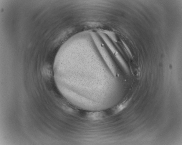 X0000080180135200612221325