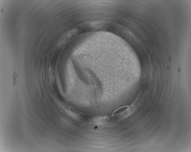 X0000080180136200612221325