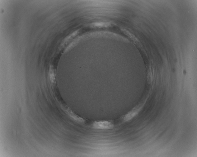 X0000080180137200612221325