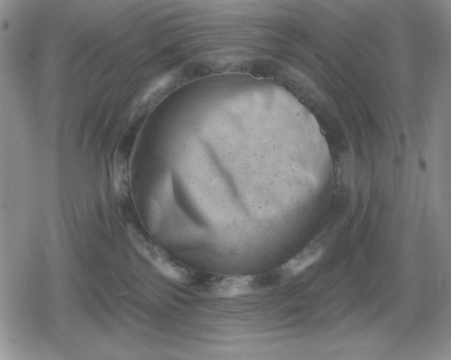 X0000080180138200612221325