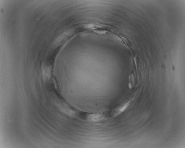 X0000080180139200612221325