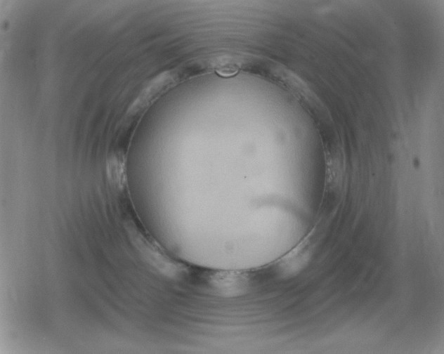 X0000080180142200612221325