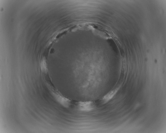 X0000080180143200612221325