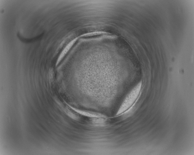 X0000080180144200612221325